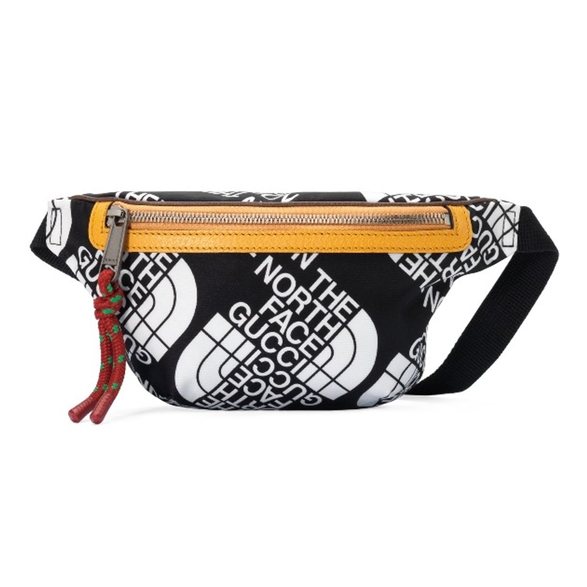 The North Face x Gucci